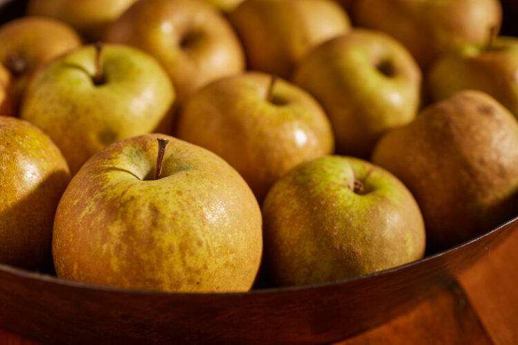 Celebrating Heritage Apple Varieties